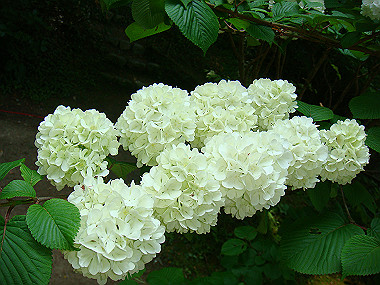 20080503_0800_thumb.jpg