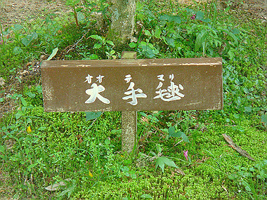 20080503_0820_thumb.jpg