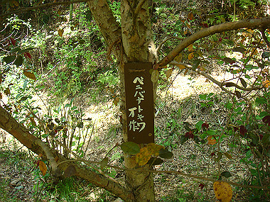 20080503_0920_thumb.jpg