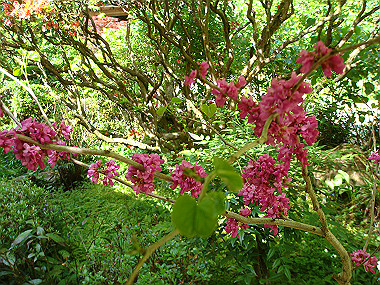 20080503_0940_thumb.jpg