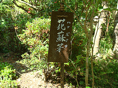 20080503_0950_thumb.jpg