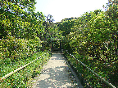 20080503_1000_thumb.jpg