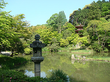 20080503_1050_thumb.jpg