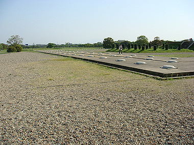 20080503_1150_thumb.jpg
