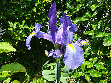 20080504_0070_thumb.jpg