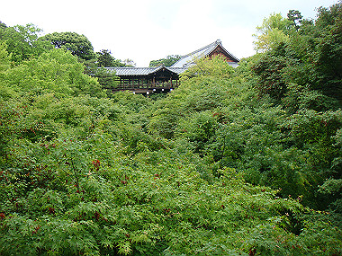 20080529_0220_thumb.jpg