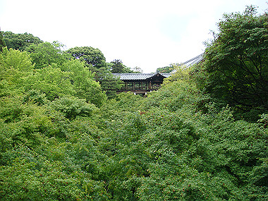 20080529_0230_thumb.jpg