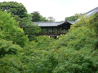 20080529_0240_thumb.jpg