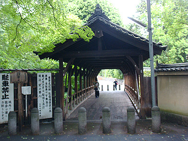 20080529_0260_thumb.jpg