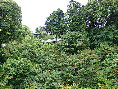 20080529_0470_thumb.jpg