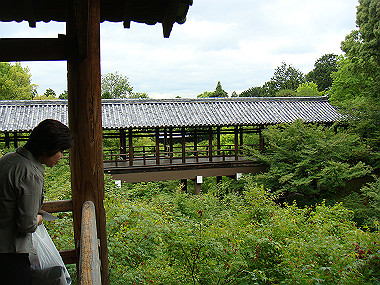 20080529_0500_thumb.jpg