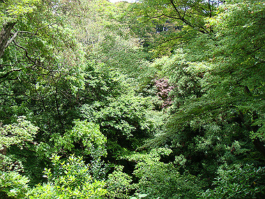 20080529_0680_thumb.jpg