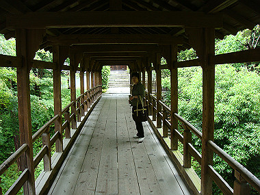 20080529_0840_thumb.jpg