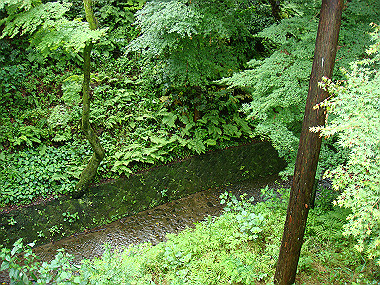 20080529_0870_thumb.jpg
