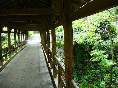 20080529_0910_thumb.jpg