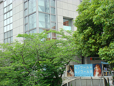 20080529_0960_thumb.jpg