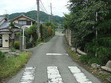 20080629_0110_thumb.jpg