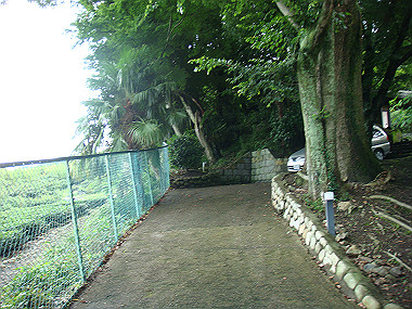 20080629_0200_thumb.jpg