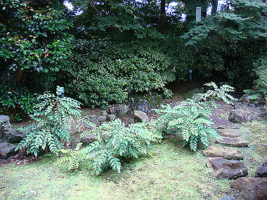 20080629_0530_thumb.jpg