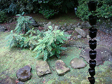 20080629_0590_thumb.jpg