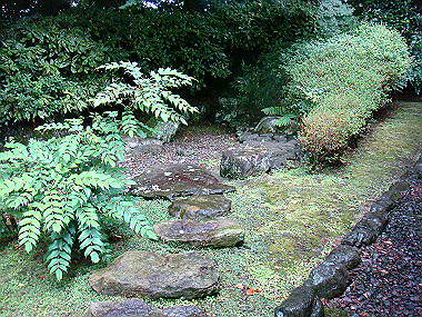 20080629_0670_thumb.jpg
