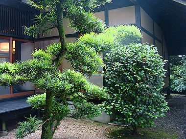 20080629_0730_thumb.jpg