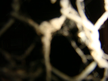 20080629_0820_thumb.jpg
