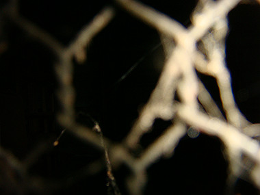 20080629_0830_thumb.jpg