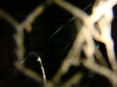 20080629_0840_thumb.jpg