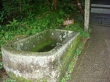 20080629_0850_thumb.jpg