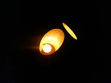 20080812_0220_thumb.jpg