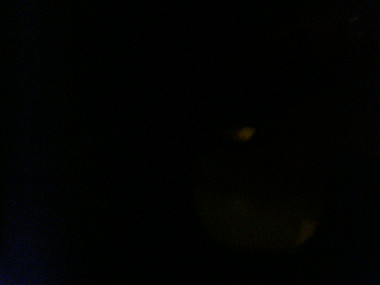 20080812_0410_thumb.jpg