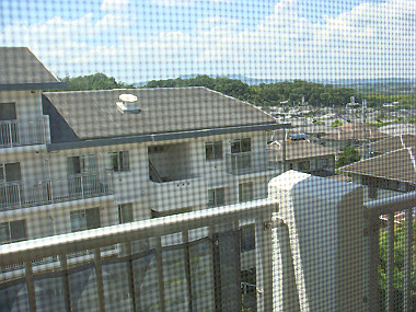20080813_0070_thumb.jpg