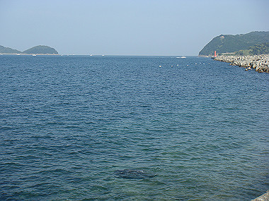 20081104_0040_thumb.jpg