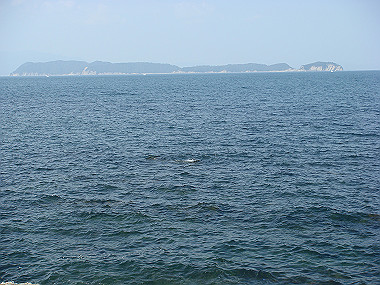20081104_0050_thumb.jpg