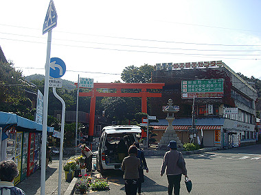 20081104_0070_thumb.jpg