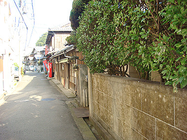 20081104_0410_thumb.jpg