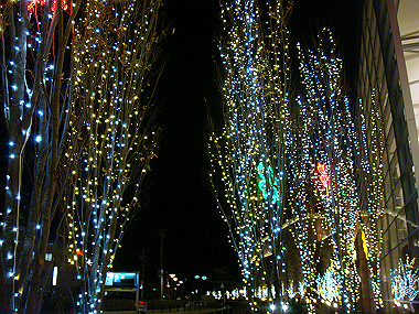 20081122_091_thumb.jpg