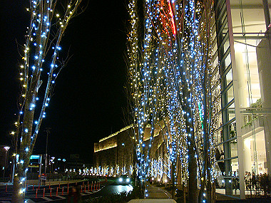 20081122_092_thumb.jpg
