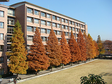 20081202_384_thumb.jpg