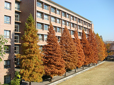 20081202_385_thumb.jpg