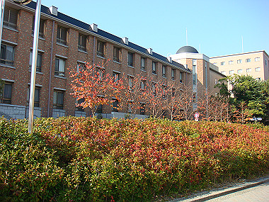 20081202_386_thumb.jpg