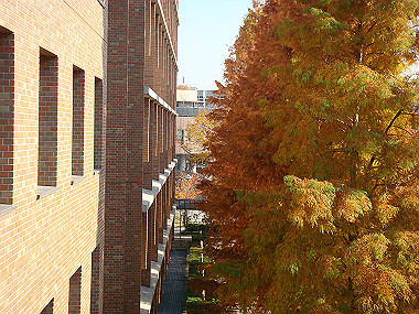 20081202_387_thumb.jpg
