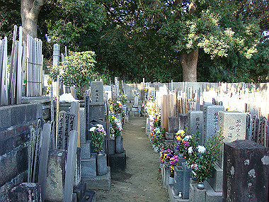 20081220_417_thumb.jpg