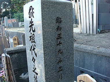 20081220_431_thumb.jpg