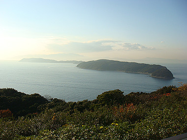 20081220_435_thumb.jpg