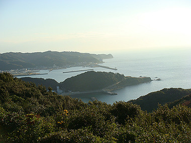 20081220_436_thumb.jpg