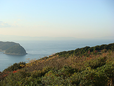 20081220_439_thumb.jpg