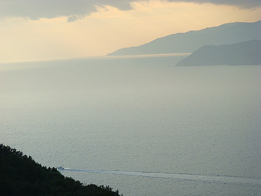20081220_441_thumb.jpg