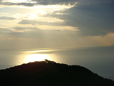 20081220_442_thumb.jpg